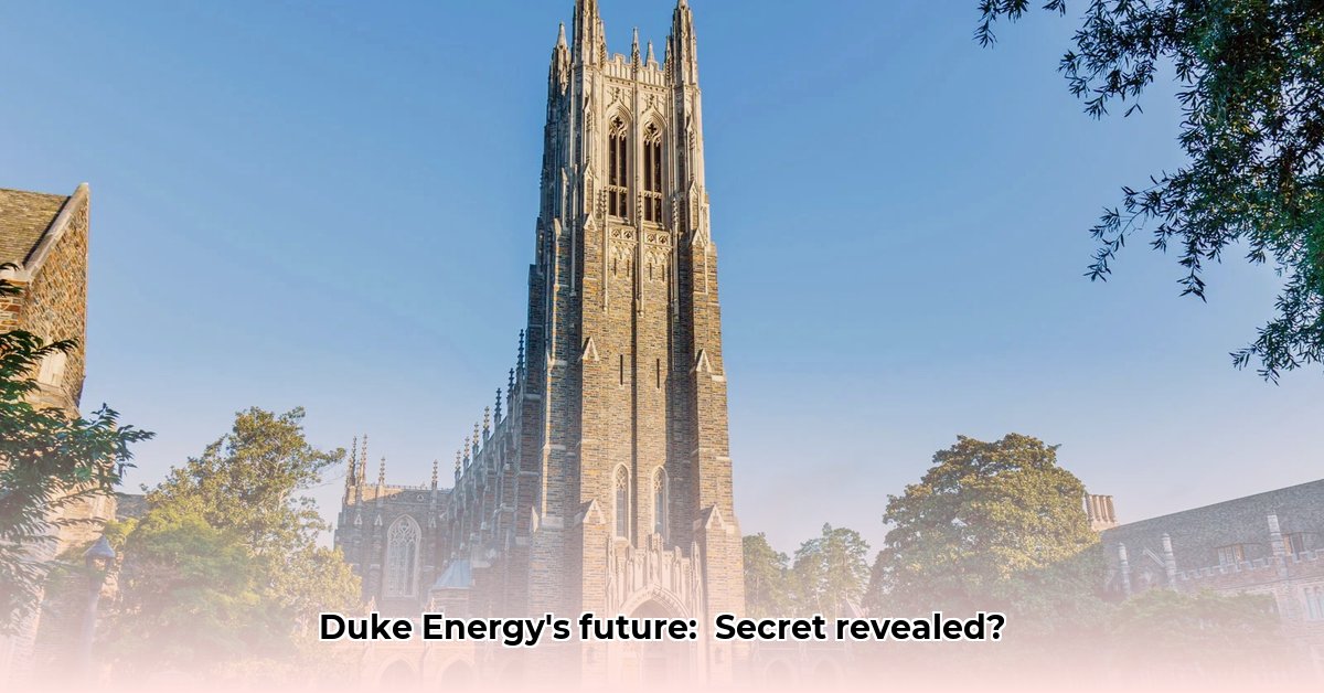 duke-energy-net-worth